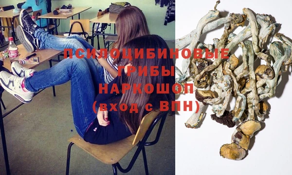 прущая мука Ивантеевка